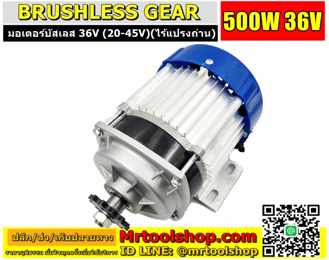 Brushless Motor DC 36V 500W